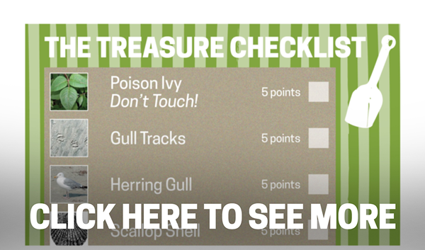 Avalon-Website-Treasure-Checklist-Preview-Graphic