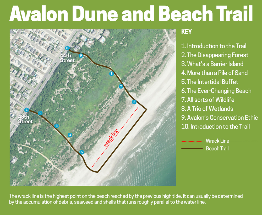 DandB-Trail-Map-Location-Page