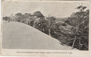 An old clipping of the Avalon dunes