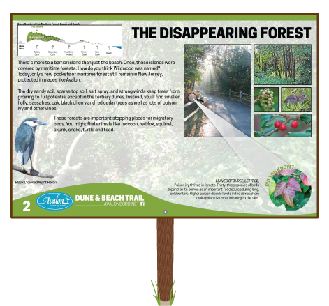 The-Disappearing-Forest-Sign