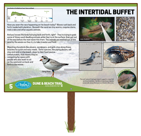 The-Intertidal-Buffet-Sign