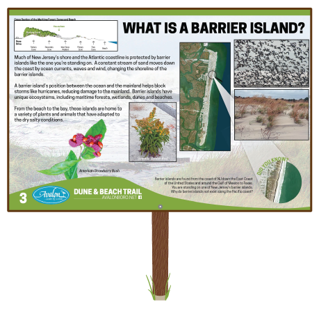 What-is-a-Barrier-Island-Sign